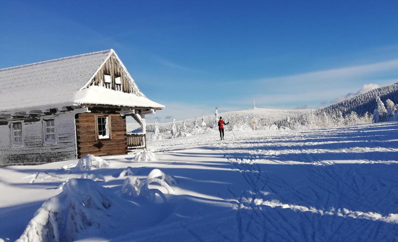 Mezonetovy Apartman Isabela Loučná nad Desnou Bagian luar foto