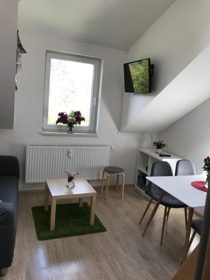 Mezonetovy Apartman Isabela Loučná nad Desnou Bagian luar foto