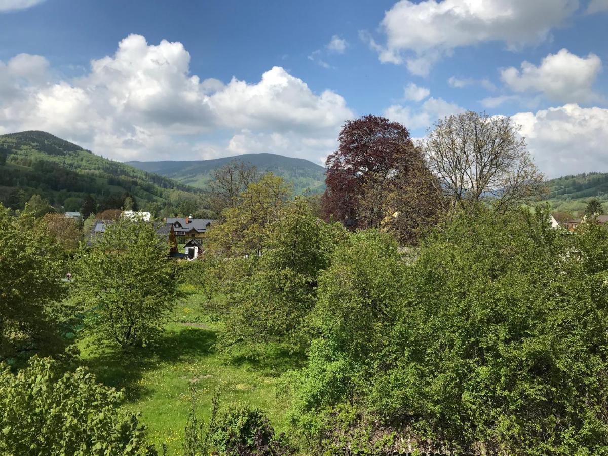 Mezonetovy Apartman Isabela Loučná nad Desnou Bagian luar foto